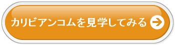 カリビアンコムを見学する